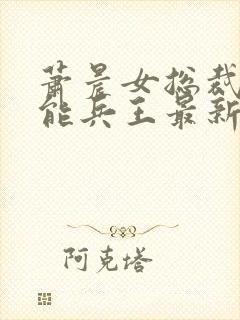 萧晨女总裁的全能兵王最新更新完