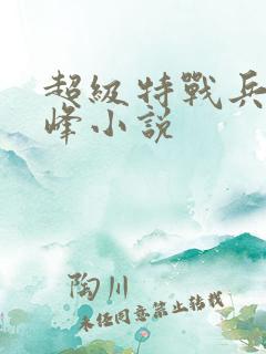 超级特战兵王张峰小说