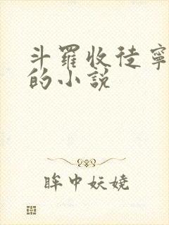 斗罗收徒宁荣荣的小说