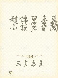 赵锦儿秦慕修的小说免费阅读全文