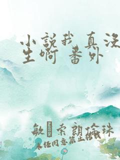 小说我真没想重生啊 番外