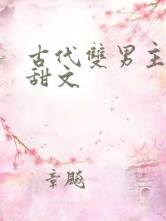 古代双男主小说甜文