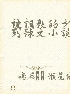 被调教的少妇系列辣文小说