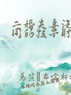 二婚夫妻没有共同的孩子财产怎么分