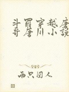 斗罗穿越唐三亲哥唐川小说