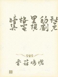 暗格里的秘密全集电视剧免费观看