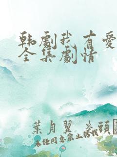韩剧我有爱人了全集剧情