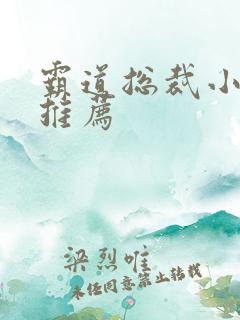 霸道总裁小说文推荐