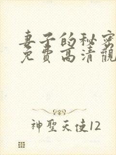 妻子的秘密短剧免费高清观看全集