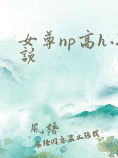 女尊np高h小说