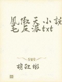 凤傲天小说里黄毛反派txt
