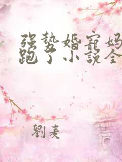 强势婚宠妈咪又跑了小说全文免费阅读