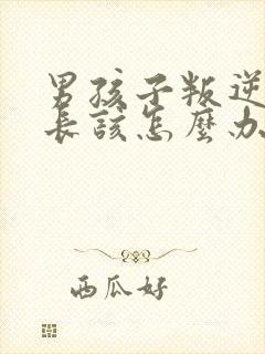 男孩子叛逆期家长该怎么办