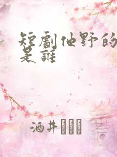 短剧他野的男主是谁