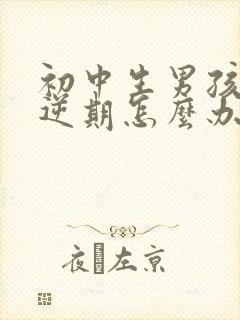 初中生男孩子叛逆期怎么办