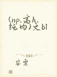 (np,高h,纯肉)文bl