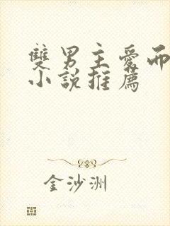 双男主爱而不得小说推荐