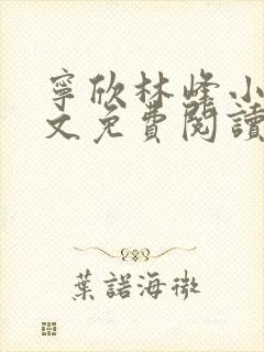 宁欣林峰小说全文免费阅读无弹窗