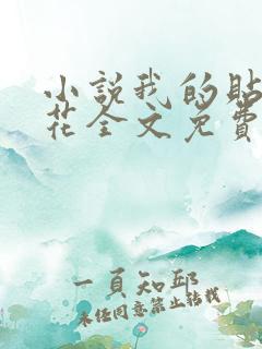 小说我的贴身校花全文免费阅读