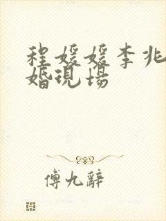 程媛媛李兆会结婚现场