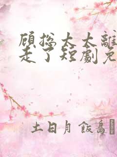 顾总太太离家出走了短剧免费观看