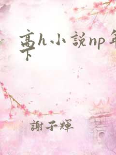 高h小说np年下