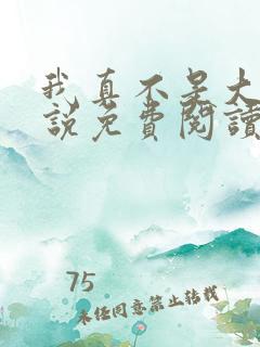 我真不是大佬小说免费阅读