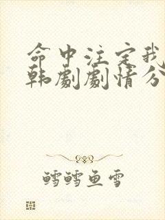 命中注定我爱你韩剧剧情分集介绍