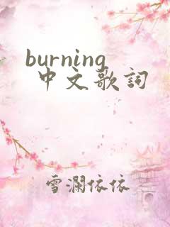 burning 中文歌词