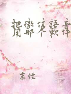 把微信语音打包用哪个软件