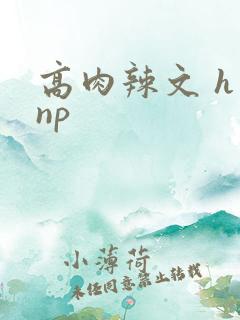 高肉辣文 h np