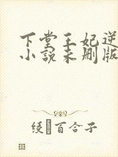 下堂王妃逆袭记小说未删版完整