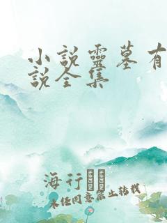 小说灵墓有声小说全集