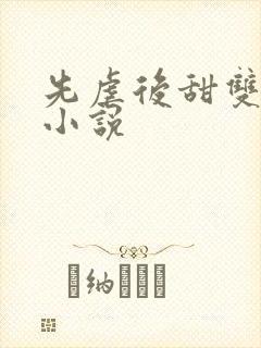 先虐后甜双男主小说