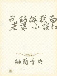 我的总裁白富美老婆 小说txt下载