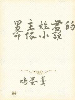 男主姓君的家族命依小说