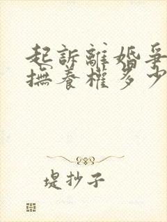 起诉离婚争孩子抚养权多少钱