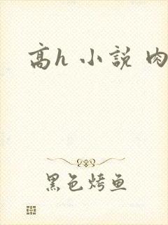 高h 小说 肉