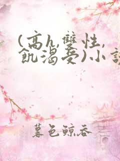 (高h,双性,饥渴受)小说