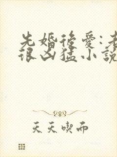 先婚后爱:老公很凶猛小说电子版txt