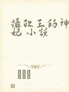 摄政王的神医狂妃 小说