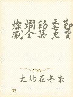 灿烂的季节电视剧全集免费