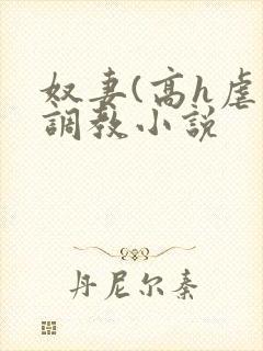 奴妻(高h虐身调教小说