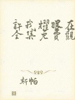 许我耀眼在线看全集免费观看高清