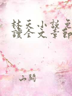 林天小说免费阅读全文章节