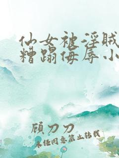 仙女被淫贼强行糟蹋侮辱小说情节