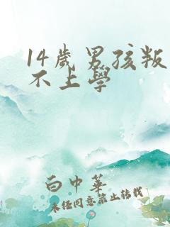 14岁男孩叛逆不上学