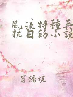 风流特种兵穿越抗日的小说