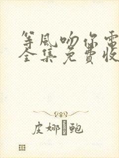 等风吻你电视剧全集免费收看