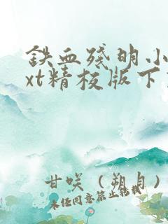 铁血残明小说txt精校版下载